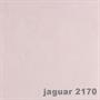 jaguar 2170 pacyg